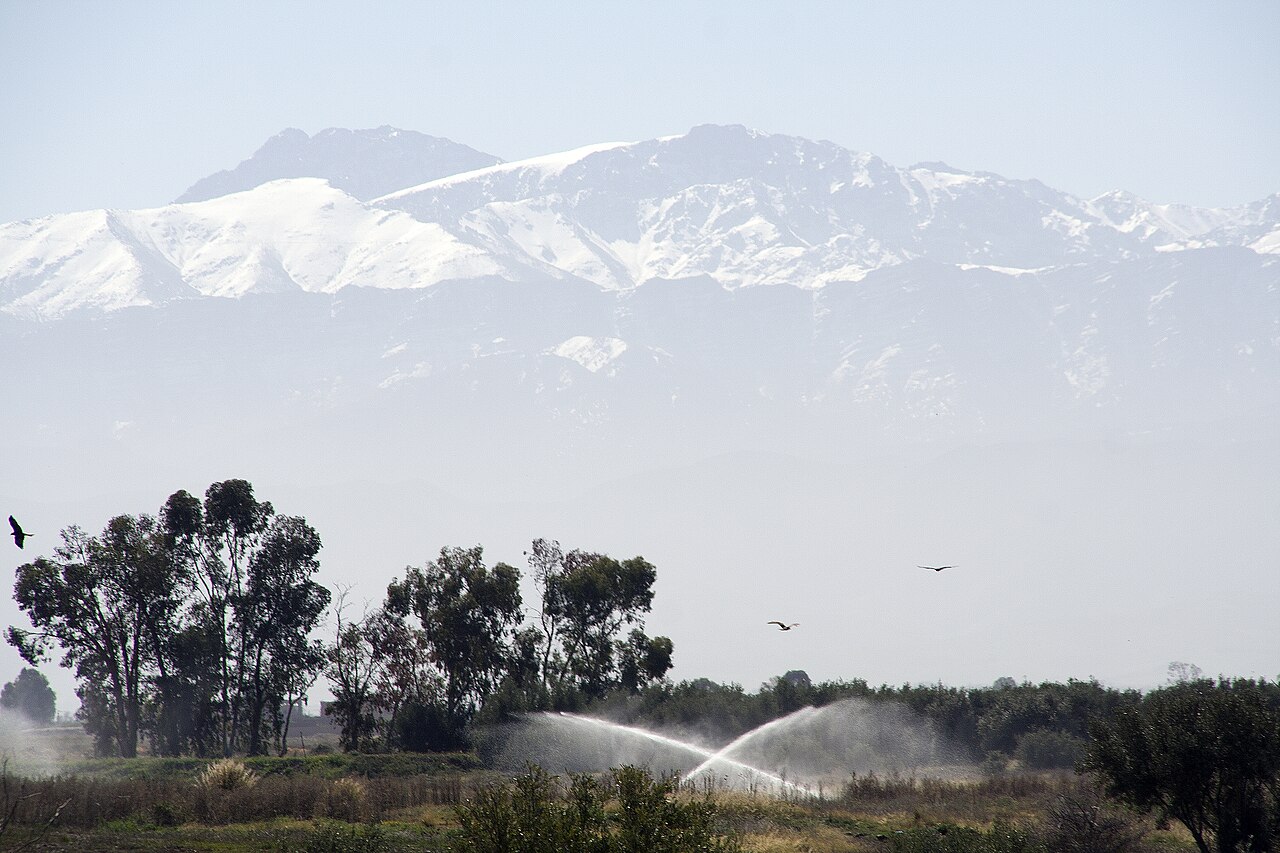 029 Marrakech Février 2019