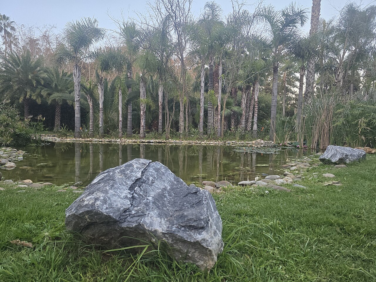 Beautiful view from Rabat Experimental Park ٢
