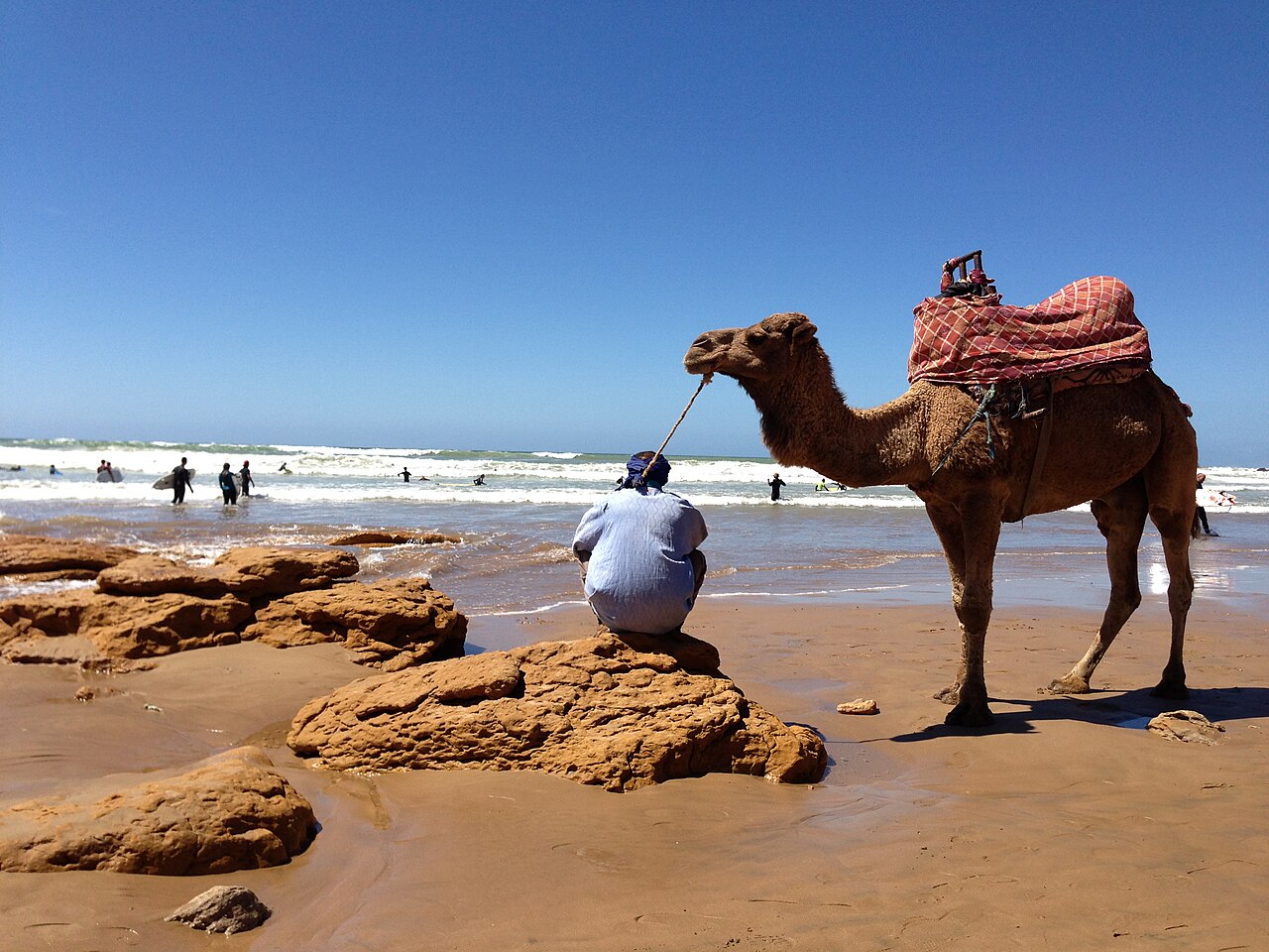 Camel on the beach at Taghazout (8591453987)